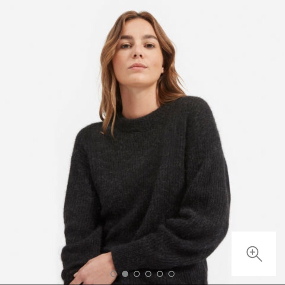 Everlane Oversized Alpaca Crew Sweater NWT